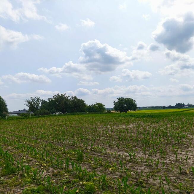 Działka rolno-budowlana MN 30a, Jastków