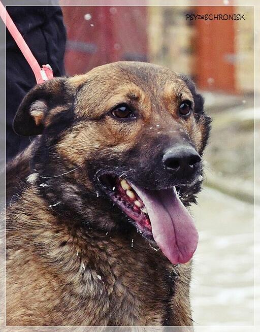 Mara - wspaniała dama marzy o spokojnym, ciepłym domu