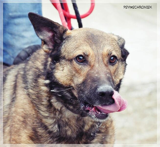 Mara - wspaniała dama marzy o spokojnym, ciepłym domu