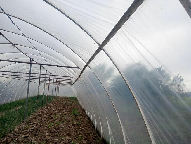 Tunele ogrodowe 7x30 sprzedam lub wydzierżawie