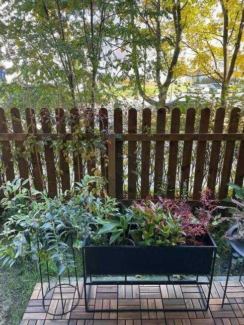 Zielone mieszkanie 42 m² z ogródkiem wolne od 15 lipca