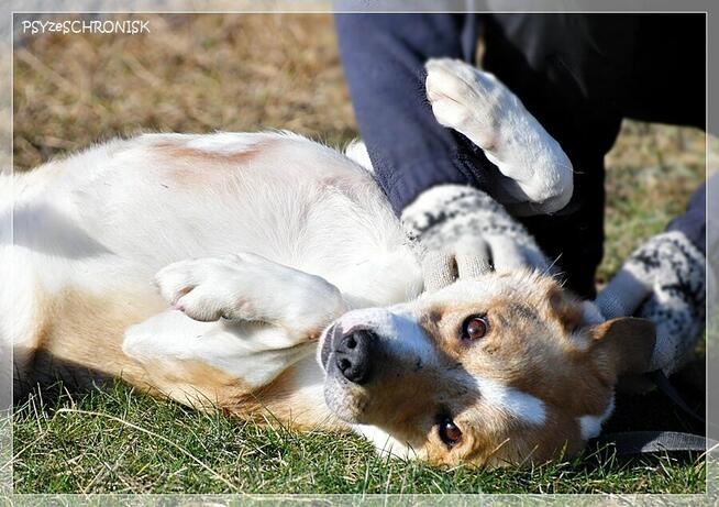 Olek - grzeczny przystojniak z wielkim sercem