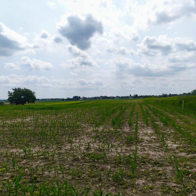 Działka rolno-budowlana MN 30a, Jastków