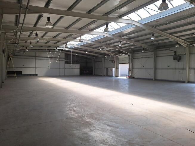 Wynajmę lub sprzedam halę i sklep