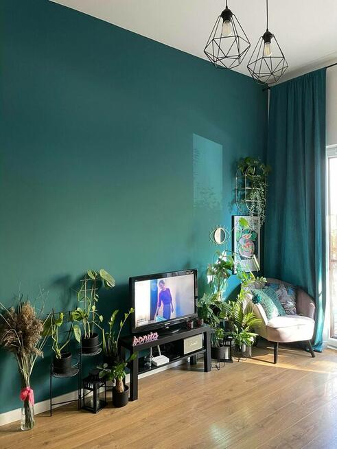 Zielone mieszkanie 42 m² z ogródkiem wolne od 15 lipca