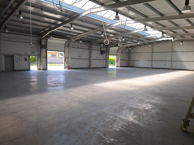 Wynajmę lub sprzedam halę i sklep