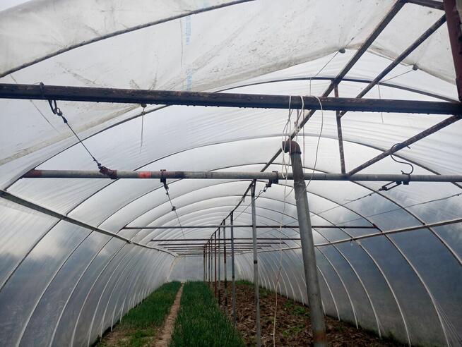 Tunele ogrodowe 7x30 sprzedam lub wydzierżawie