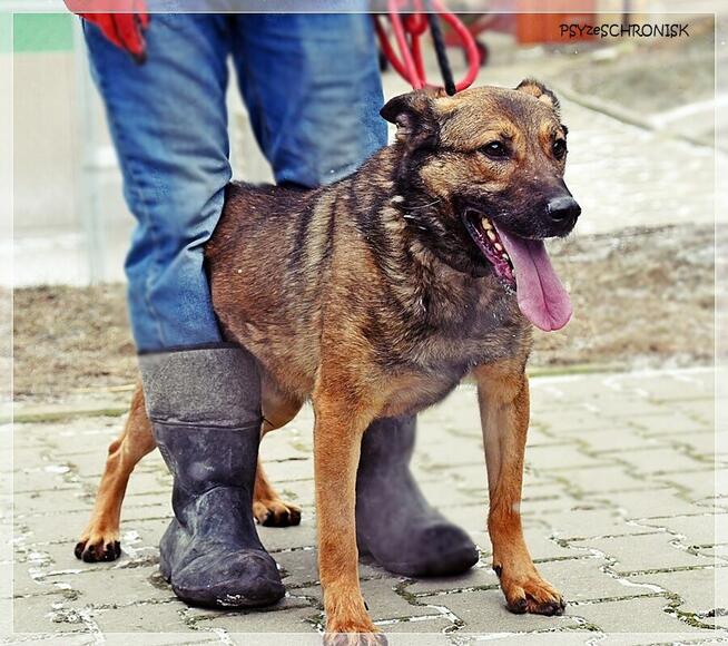 Mara - wspaniała dama marzy o spokojnym, ciepłym domu