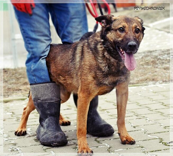 Mara - wspaniała dama marzy o spokojnym, ciepłym domu