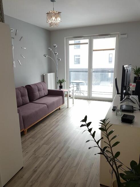 wynajmę mieszkanie w Miasteczku Wilanów