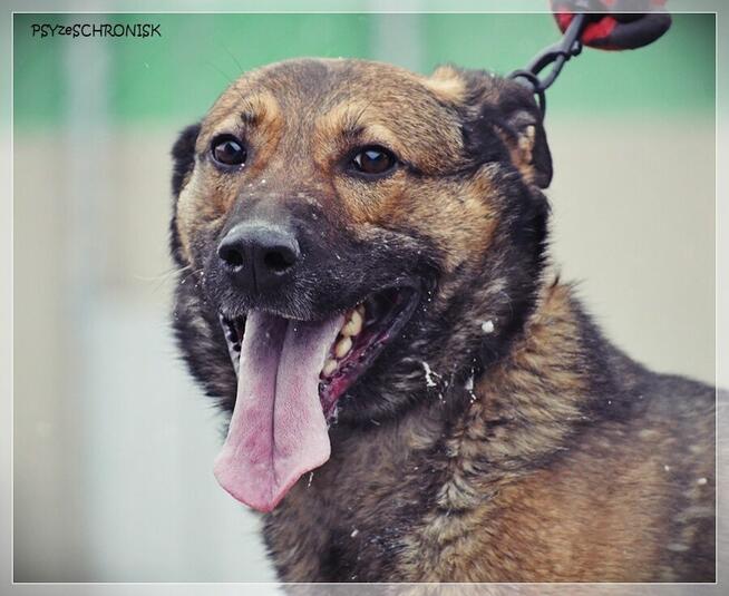 Mara - wspaniała dama marzy o spokojnym, ciepłym domu