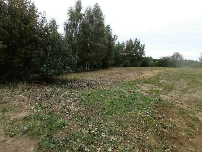 Skosze trawnik, wyczyszcze działkę