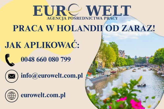 Holandia/ Pakowanie ryb/ od zaraz