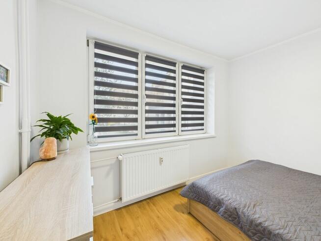 dwa pokoje, parter, centrum.