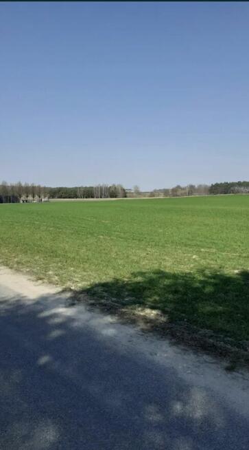 Sprzedam działkę około 8200m2 po 88zlm2