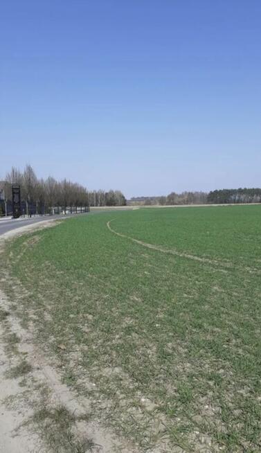 Sprzedam działkę około 8200m2 po 88zlm2