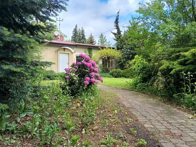 non-smoking rooms for women/pokoje dla kobiet niepalących