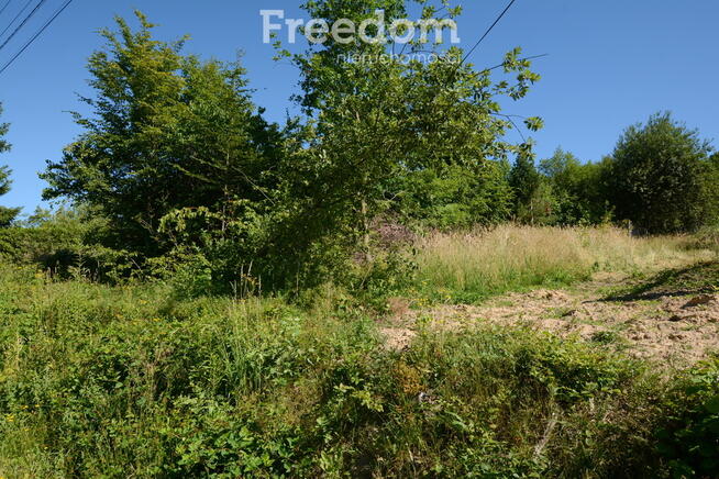 Działka ze starym domem w malowniczej okolicy