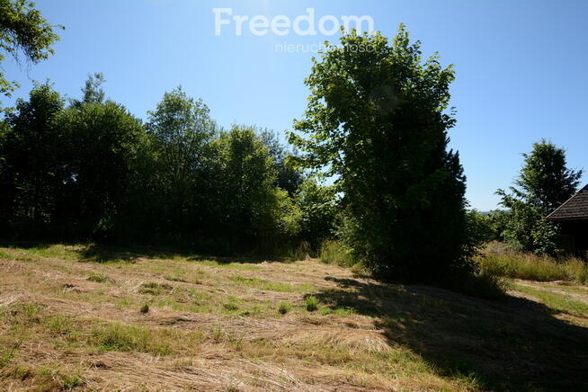 Działka ze starym domem w malowniczej okolicy