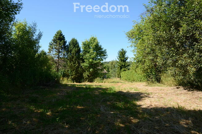 Działka ze starym domem w malowniczej okolicy