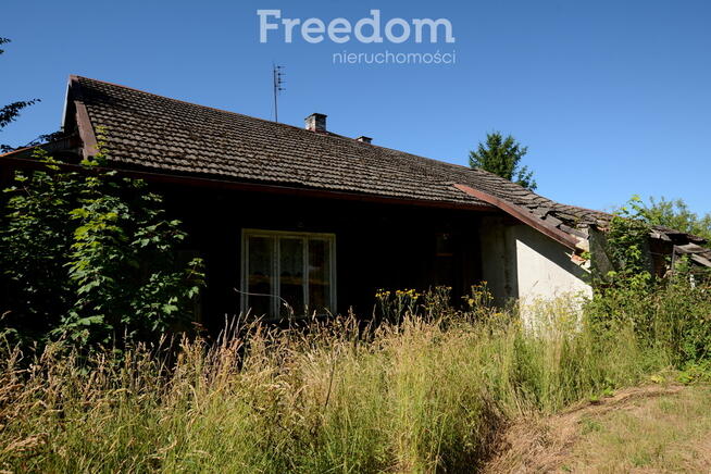 Działka ze starym domem w malowniczej okolicy