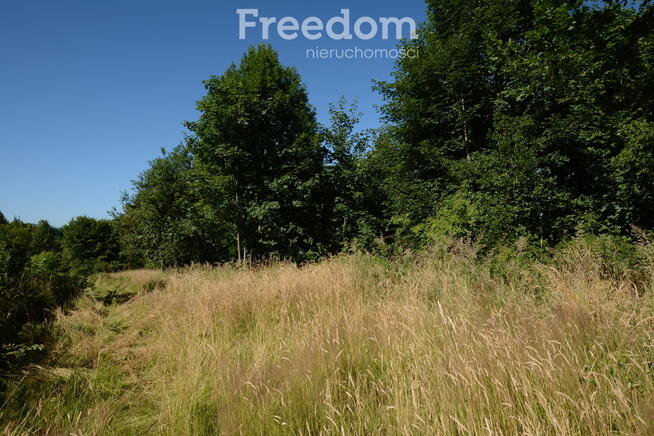 Działka ze starym domem w malowniczej okolicy