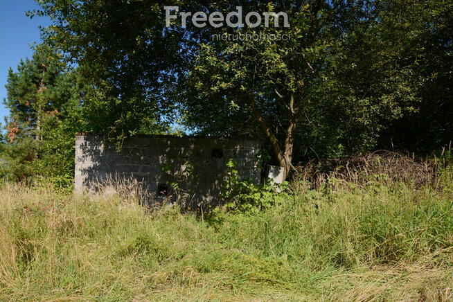 Działka ze starym domem w malowniczej okolicy