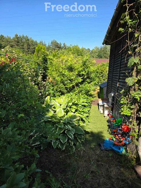 ROD Ząbki – cisza, zieleń, relaks