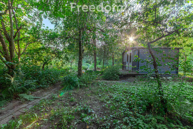 Działka ROD Warszawa ul. Statkowskiego