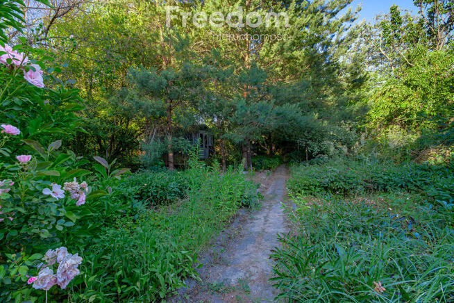 Działka ROD Warszawa ul. Statkowskiego