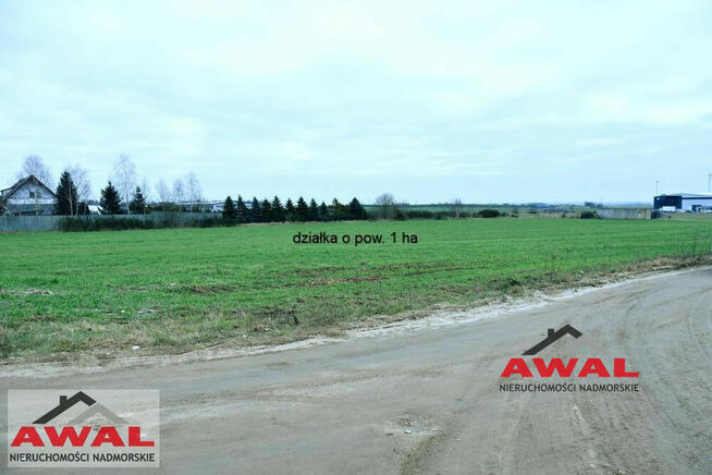 Działka inwestycyjna Łebcz gm. Puck, Rumiankowa