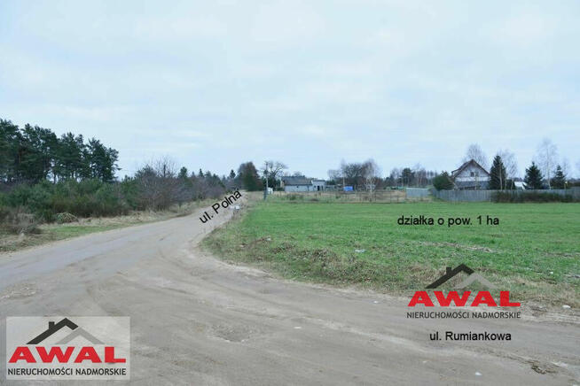 Działka inwestycyjna Łebcz gm. Puck, Rumiankowa