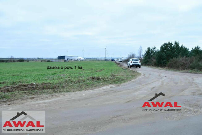 Działka inwestycyjna Łebcz gm. Puck, Rumiankowa