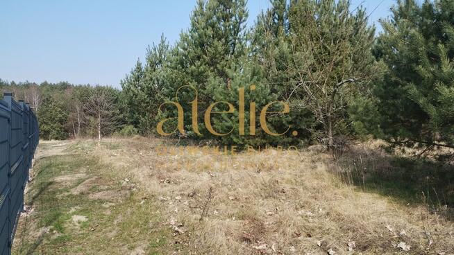 Działka rolna w środku Borów Tucholskich.