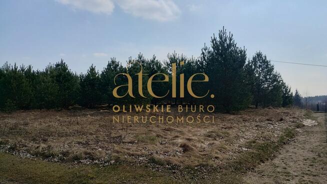 Działka rolna w środku Borów Tucholskich.