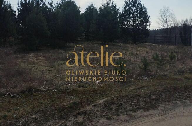 Działka rolna w środku Borów Tucholskich.