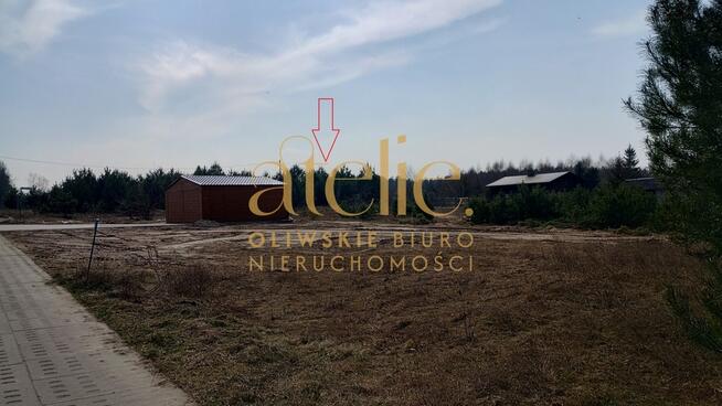 Działka rolna w środku Borów Tucholskich.