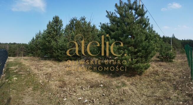 Działka rolna w środku Borów Tucholskich.