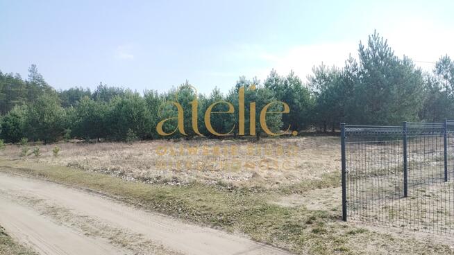 Działka rolna w środku Borów Tucholskich.