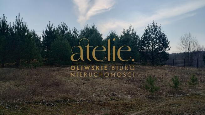 Działka rolna w środku Borów Tucholskich.