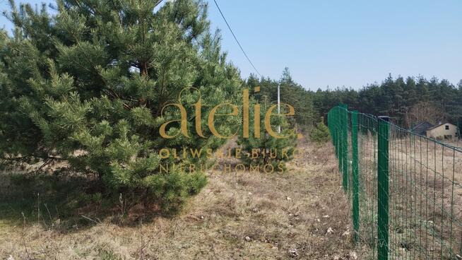 Działka rolna w środku Borów Tucholskich.