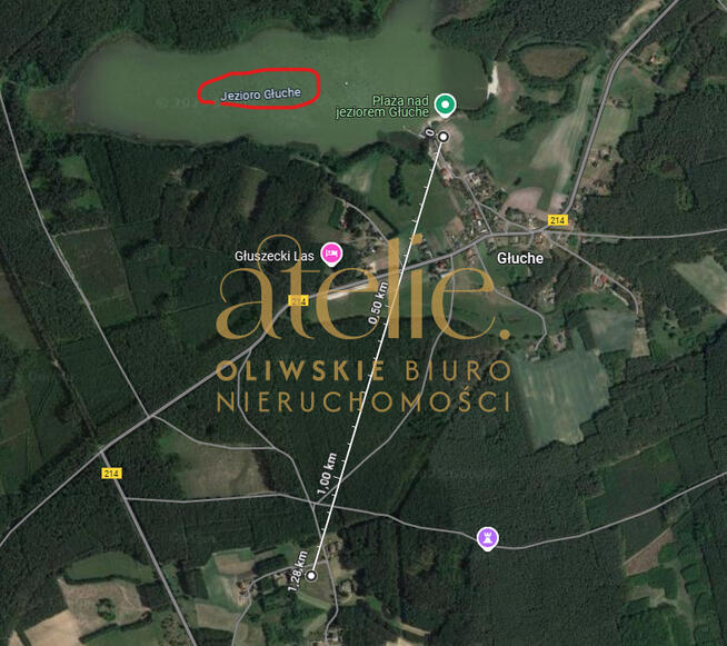 Działka rolna w środku Borów Tucholskich.