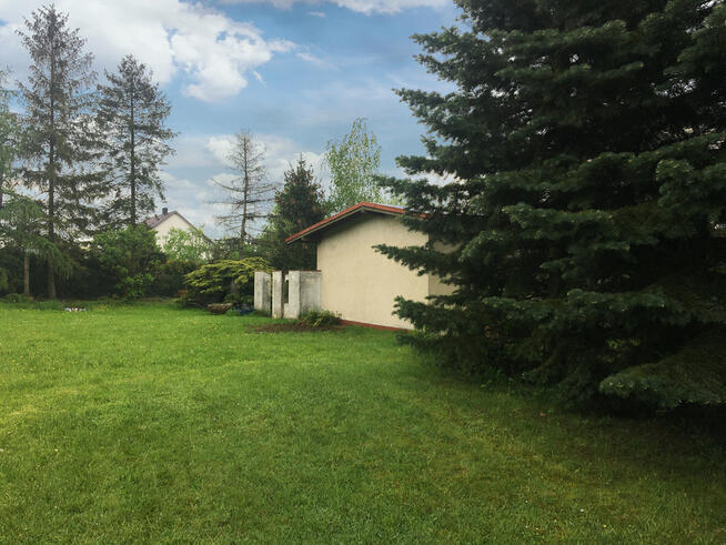 Działka Sadów - idealna pod twój dom!