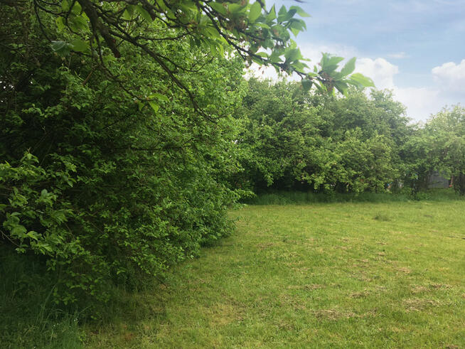 Działka Sadów - idealna pod twój dom!