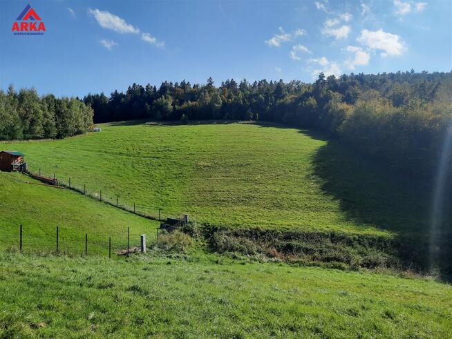 Działka Pasierbiec gm. Limanowa