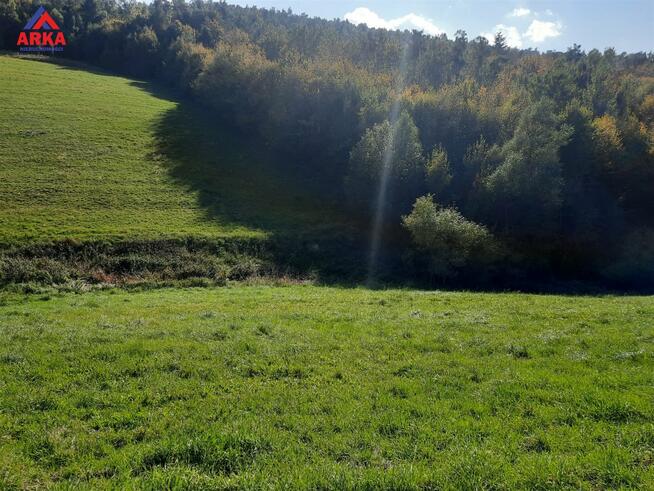 Działka Pasierbiec gm. Limanowa