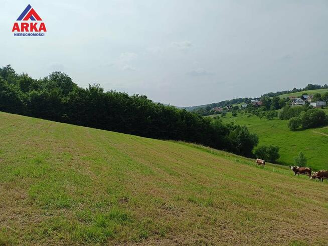 Działka Pasierbiec gm. Limanowa