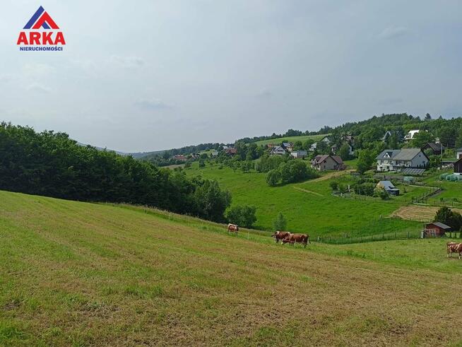 Działka Pasierbiec gm. Limanowa