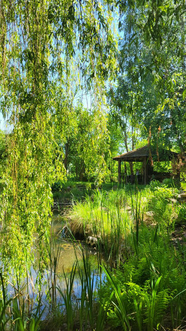 Dom Strzeniówka gm. Nadarzyn,