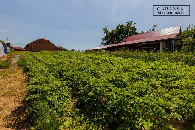 Dom Turza gm. Rzepiennik Strzyżewski